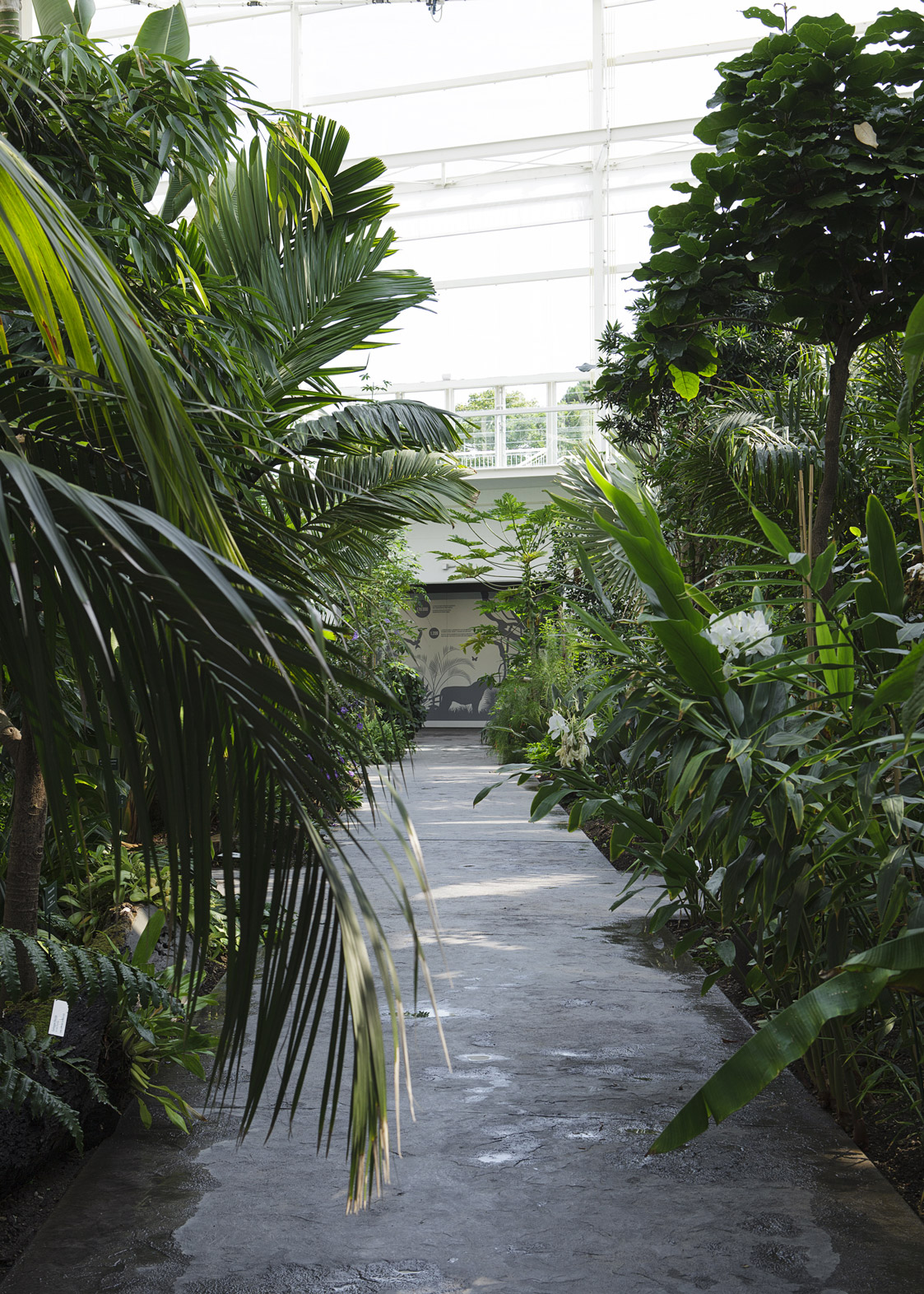 Botanical Garden’s floor of Padua University - Ideal Work